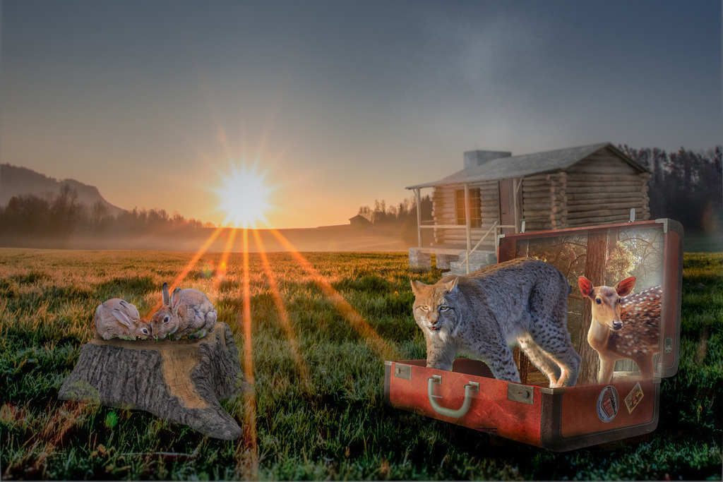 Das Blockhaus | Das alte Försterhaus steht noch auf der Wiese, sanft zwischen die bewaldeten Hügel eingebettet. Es ist ein rustikales Blockhaus, bewohnt wird es jedoch schon lange nicht mehr. Bis vor 20 Jahren lebte hier standesgemäß der Förster. Dem Nachfolger war es dann zu abgelegen, er bezog lieber unten im Dorf Quartier. Darauf wurde das Blockhaus als Feriendomizil vermietet, doch machten schnell Gerüchte die Runde, dass es oben spuken soll. Seitdem steht es leer.Bei Einbruch der Dämmerung treffen sich nun die Waldtiere auf der Wiese. Sie erzählen einander, was sie den Tag über erlebt haben. Manchmal gesellen sich auch die Zwerge und Feen dazu, dann wird Musik gemacht, getanzt und gelacht, bis die Sonne aufgeht. - Realisiert mit Pictrs.com