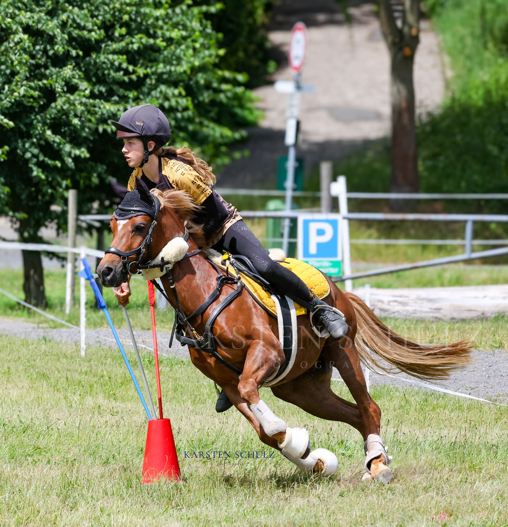1B3A0591 | Reitsport Reiten