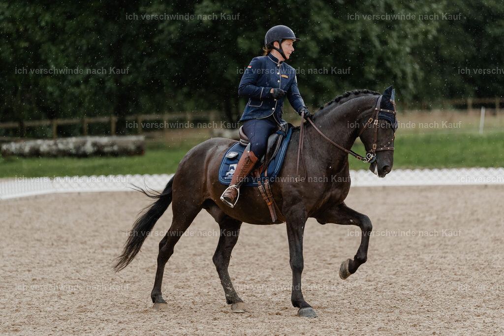 Mirjam25_FHC2025-8684 | working equitationturnier fotograf videograf stoibphotography marixx film working equitation deutschland reitsport turnierfotografie eventfotografie equestrian events