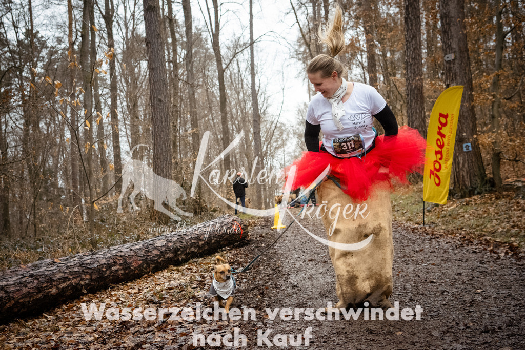 1212_ZZ94543 | kk-dogfotos