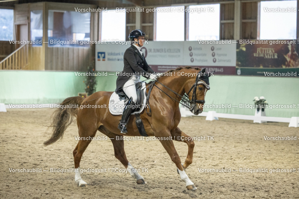 _D5A7160 | Emotionale Pferde- & People-Fotografie rund um Heidelberg, Leimen & Umgebung. Natürliche Fotos von Pferd, Mensch & Familie. Jetzt Termin sichern!