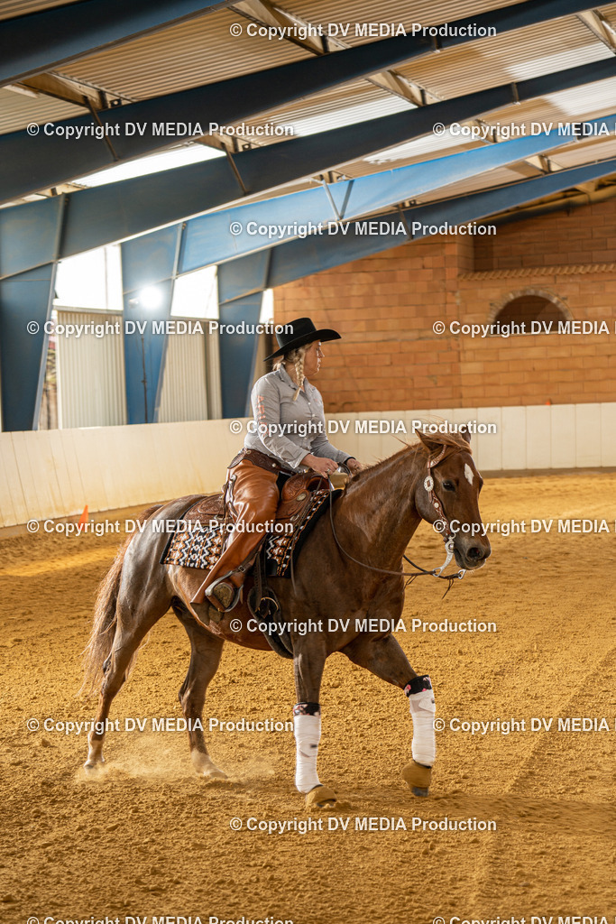 MIT01013 | dv-media-shop - Realisiert mit Pictrs.com