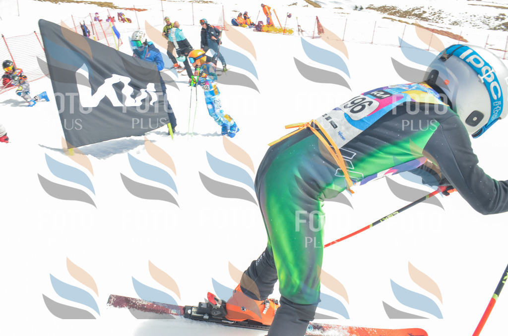 _ELE6858 | holidayphoto