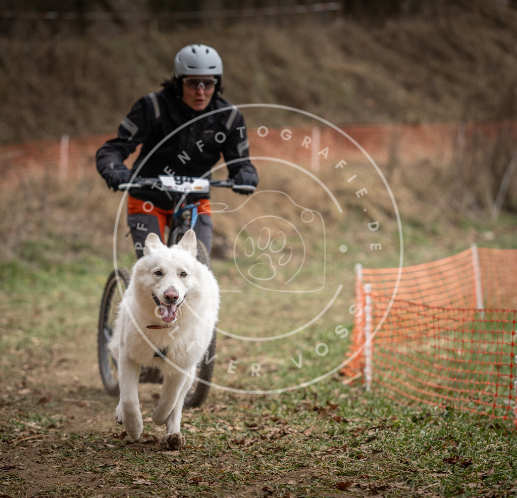 Pfotenfotografie_DV3A6905 | Hundefotografie, Tierfotograf, Pfotenfotografie, Fotoshooting Hund, Hunde Portrait, Hundesport, Hundeportraits, Heideshooting, Hunde, Sportfotograf, Hundefotograf, Turnierhundsport, THS,  - Realisiert mit Pictrs.com