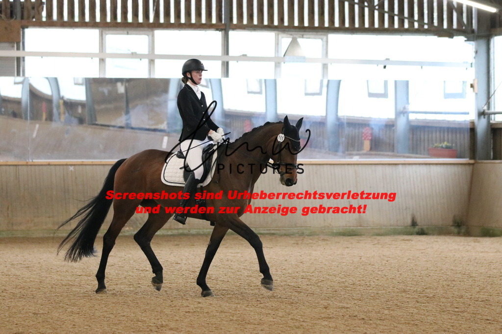 IMG_6248 | lmwpictures - Realisiert mit Pictrs.com