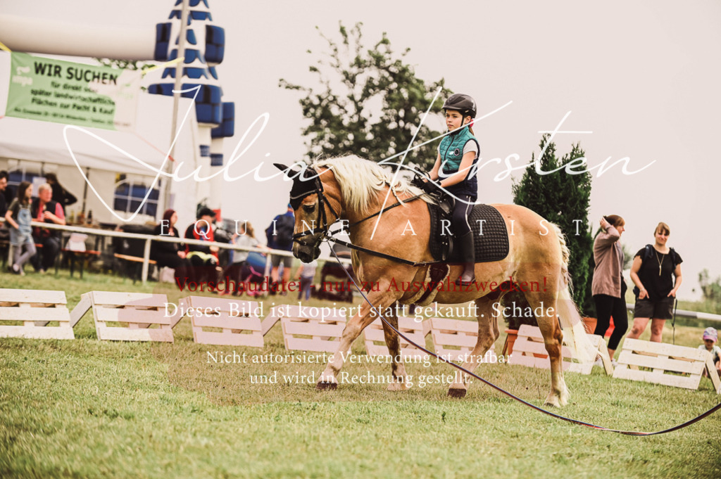 DSC_5342 | Pferde- und Turnierfotografie in Westsachsen. Pferdeportraits, Auftragszeichnungen und intuitive Kunst.