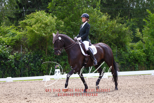 DKP41246 | Turnierfotos kaufen im Webshop von Daniel Kuhl Photography – entdecke professionelle Reitsportfotos aus Turnieren & Events. Hochwertige Turnierbilder online bestellen & sichern. Jetzt Fotos von Reitsportturnieren kaufen!
