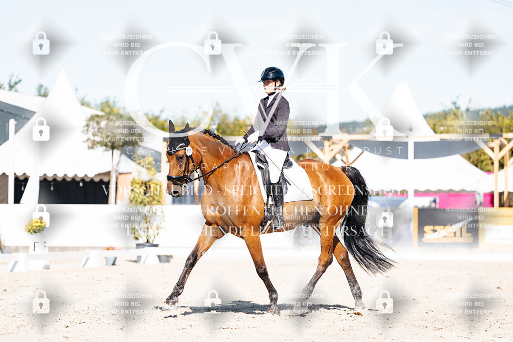 CK908086 | Turnierfotografie Pferdefotografie Trier Rheinland-Pfalz Pferdesport Reitsport Tierfotografie Sportfotografie Pferdevideo Pferdevideografie Equestrianvideography equestrianphotography  - Realisiert mit Pictrs.com