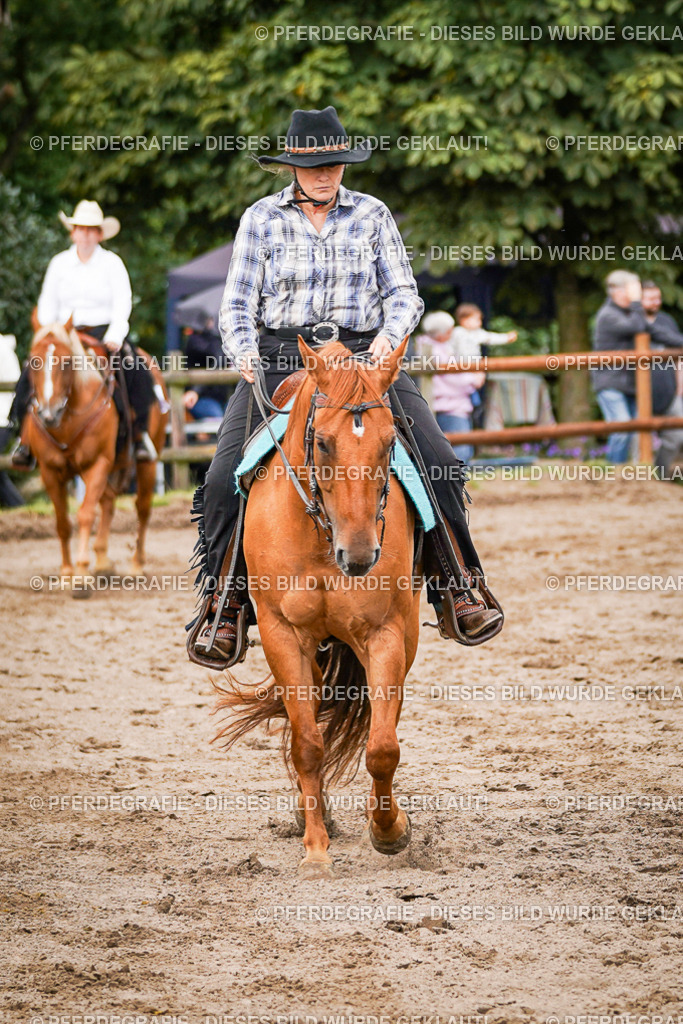 DSC08527 | Pferdegrafie