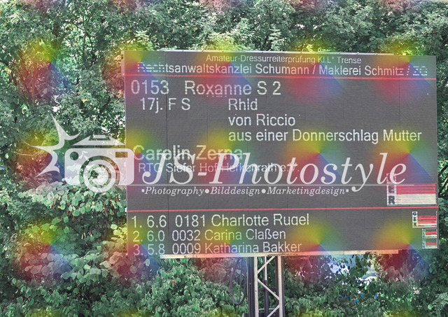 20250726_Dressurreiterprfg_Kl.L-77 | JS-Photostyle - Sport-/Portrait- & Eventfotografie
