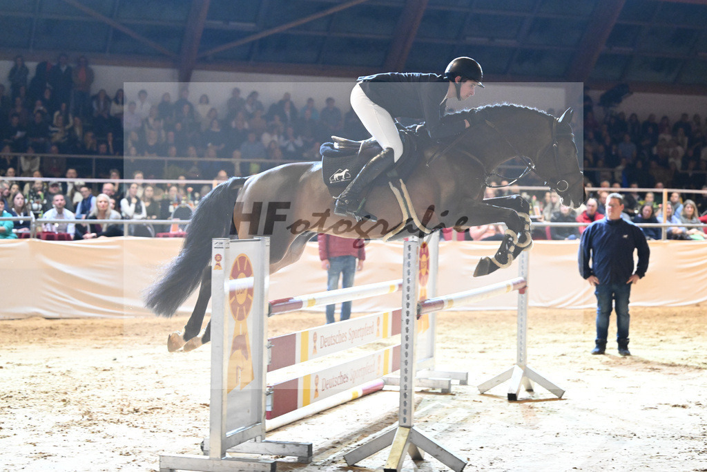 Emperor_1234320 | hf-fotografie - Realisiert mit Pictrs.com