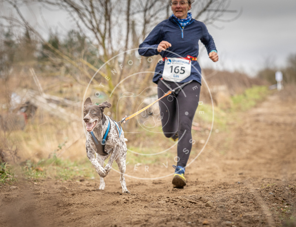 DV3A1872 | Hundefotografie, Tierfotograf, Pfotenfotografie, Fotoshooting Hund, Hunde Portrait, Hundesport, Hundeportraits, Heideshooting, Hunde, Sportfotograf, Hundefotograf, Turnierhundsport, THS,  - Realisiert mit Pictrs.com