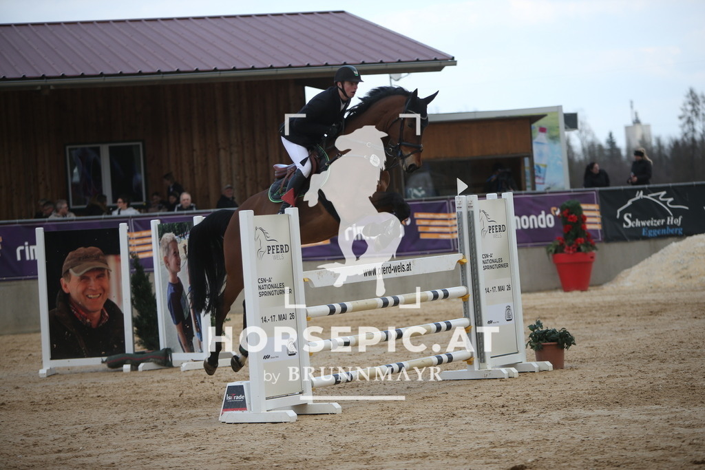 AS8V7845 | Willkommen bei Brunnmayr - Design & Fotografie – Ihrem Spezialisten für Reitturniere und Pferdeveranstaltungen in Oberösterreich, Salzburg und Bayern! Seit über 17 Jahren sind wir leidenschaftlich dabei.