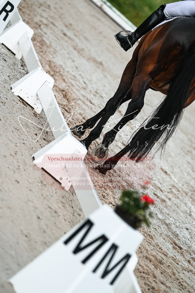 DSC_4209 | Pferde- und Turnierfotografie in Westsachsen. Pferdeportraits, Auftragszeichnungen und intuitive Kunst.