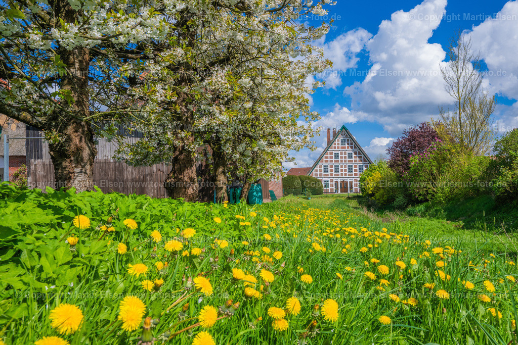 Jork Obst Blüte Fachwerk_ELS_2822170424 | Fotos aus den Touristenorten aus Norddeutschland. - Realisiert mit Pictrs.com