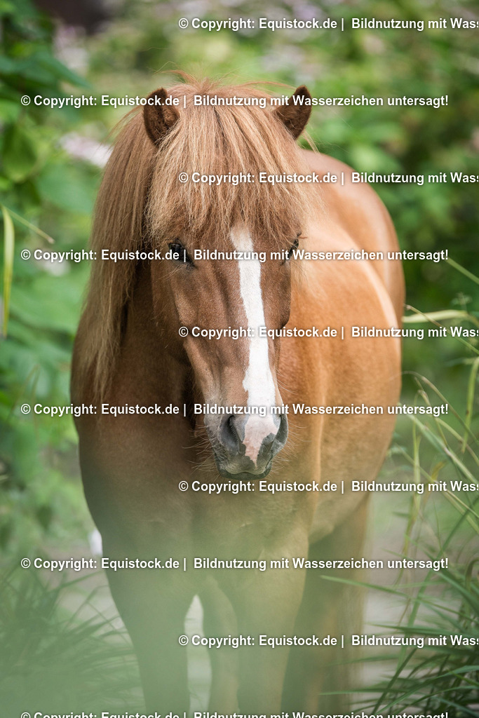 TS_20170820_Isl__nder_Landschaftspark_0002 | Foto: Thomas Hartig