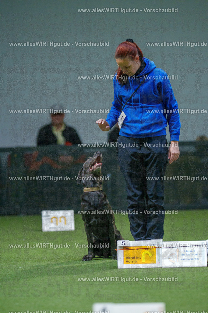 7R507008 | Professionelle Tierfotografie in Mönchengladbach von Daniel Wirth (allesWIRTHgut). Liebevolle & natürliche Bilder von Hunden & Katzen für unvergessliche Erinnerungen.