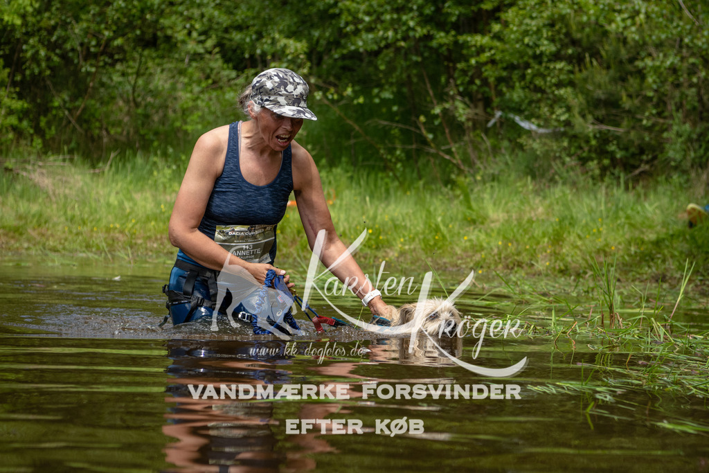1236DKK993148 | kk-dogfotos