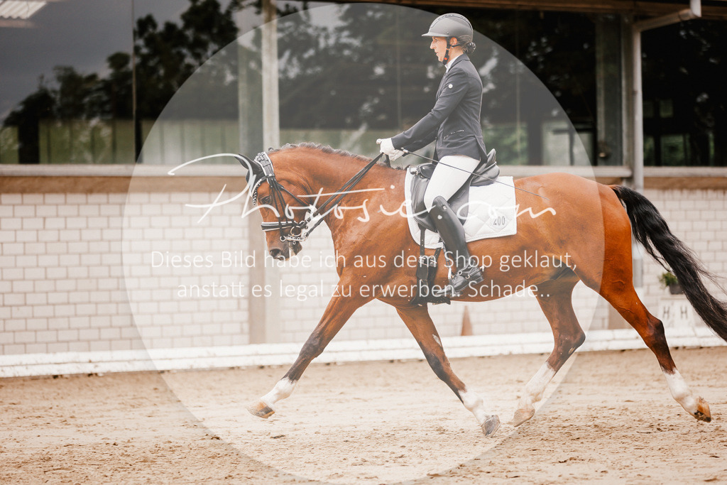 3I6A7667 | Stimmungsvolle Portraits und Reitsportfotografie im Ruhrgebiet und im Münsterland.

Pferdefotografie, Hundefotografie, Tierfotografie, Reportagen, Portraits von Tier und Mensch, Turnierfotografie in Bochum, Recklinghausen, Marl, Haltern am See, Dülmen.. - Realisiert mit Pictrs.com