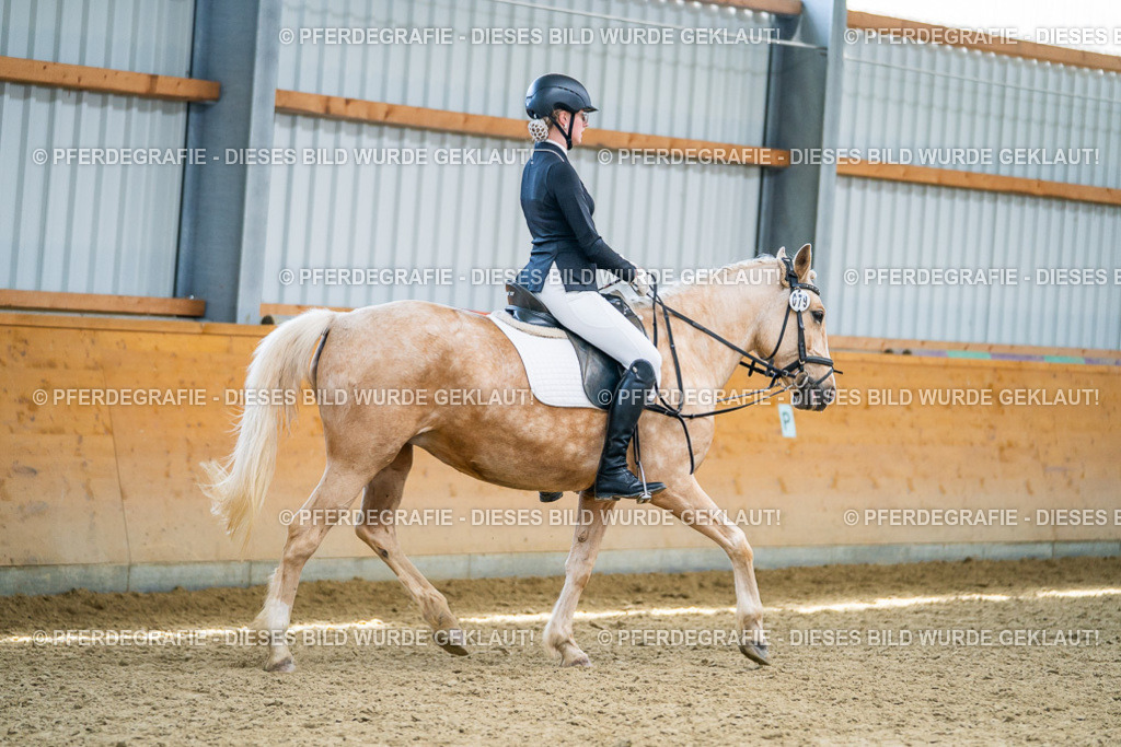 DSC04412 | Pferdegrafie