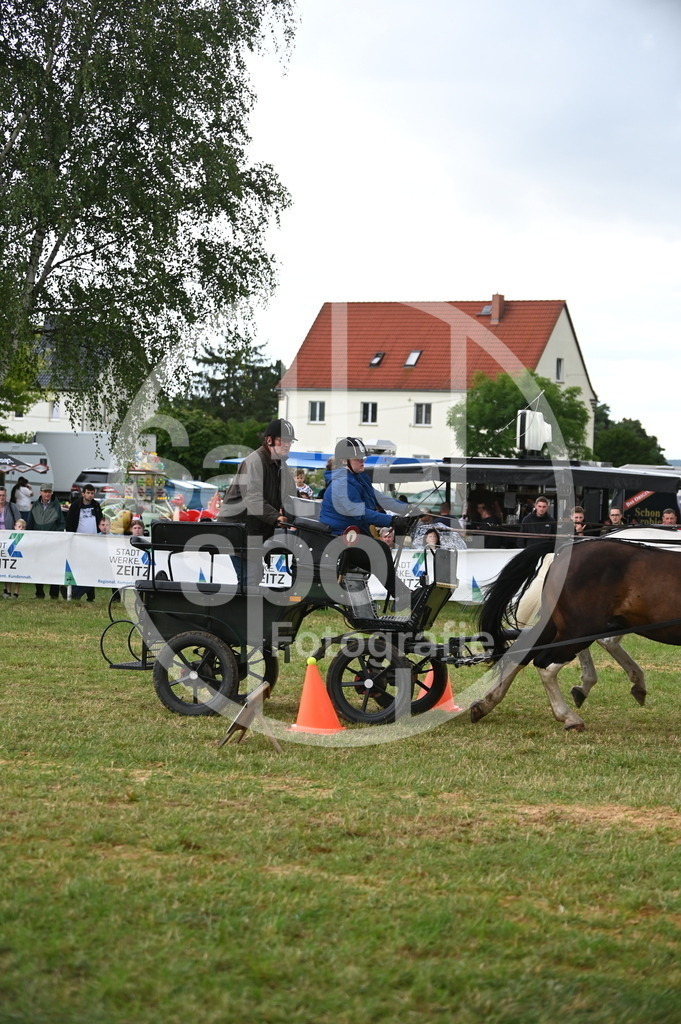 DSC_8477 | sattelsport - Realisiert mit Pictrs.com