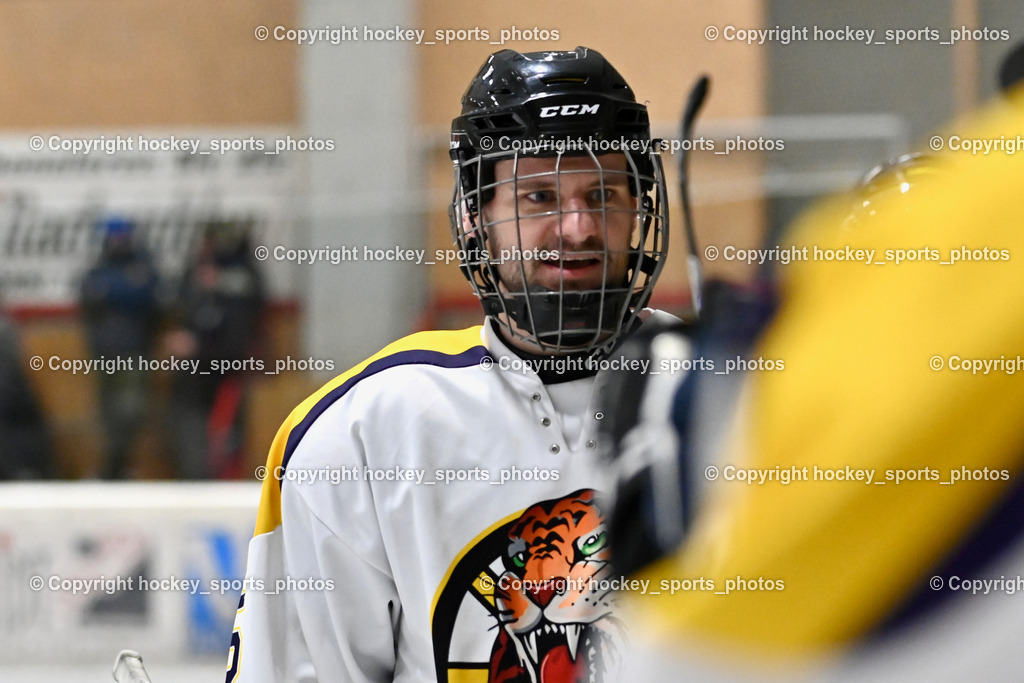 EC Tigers Paternion vs. Tarco Wölfe II | #5 Rauter Marcel EC Tigers Paternion, EC Tigers Paternion vs. Tarco Wölfe II, EC Tigers Paternion vs. Tarco Wölfe II am 19.12.2024 in Spittal an der Drau (Eissportzentrum Spittal), Austria, (Photo by Bernd Stefan)