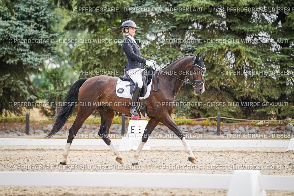 DSC01711 | Pferdegrafie