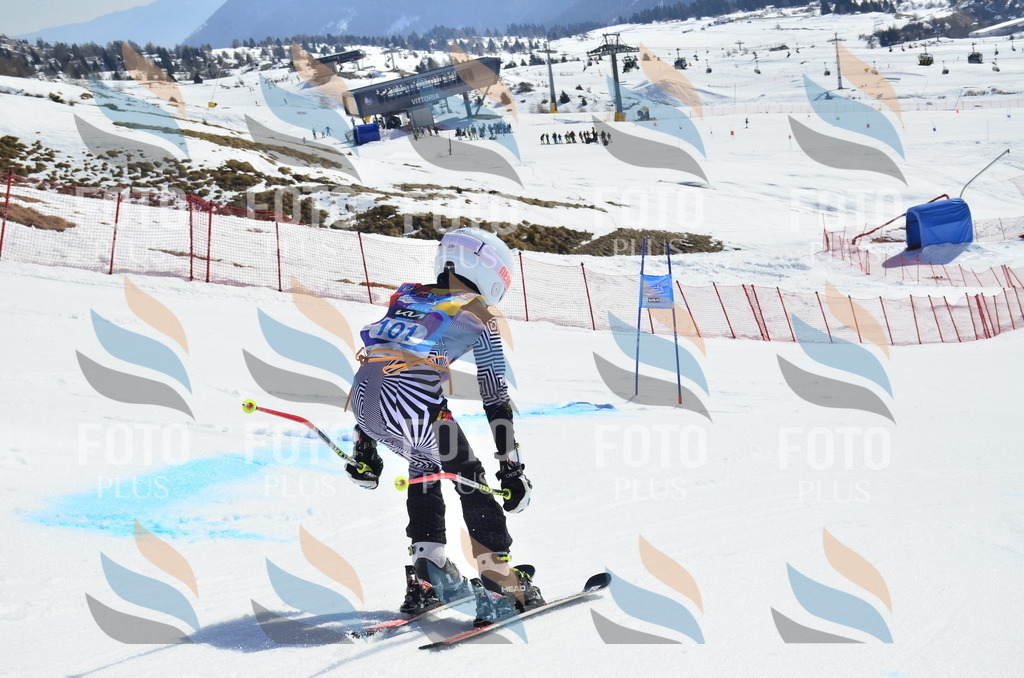 _ELE0572 | holidayphoto