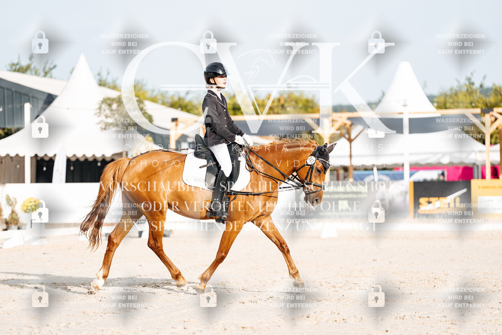CK903777 | Turnierfotografie Pferdefotografie Trier Rheinland-Pfalz Pferdesport Reitsport Tierfotografie Sportfotografie Pferdevideo Pferdevideografie Equestrianvideography equestrianphotography  - Realisiert mit Pictrs.com