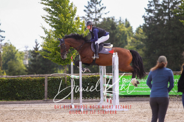 DKP43622 | Turniersportfotografie; Pferdefotografie; Dressurfotografie