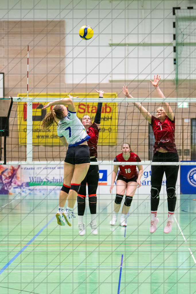 2. VBLF Nord 25/26 | Spiel 4065 | VC Osnabrück vs. TUSA City Girls Düsseldorf | DRESING Merit (VC Osnabrück e.V. #7) //  10.01.26: 2. VBLF Nord 25/26 | Spiel 4065 | VC Osnabrück vs. TUSA City Girls Düsseldorf / Osnabrück / Deutschland  //   CREDIT:www.bullenfotos.de, Martin König, Hörner Weg 40, D-49078 Osnabrück, +4917663732967 // Nutzung und Weitergabe nur zu den vereinbarten Zwecken. Presseanfragen an Ersteller. Alle Rechte beim Ersteller. Honorierung nach MFM. - Realisiert mit Pictrs.com