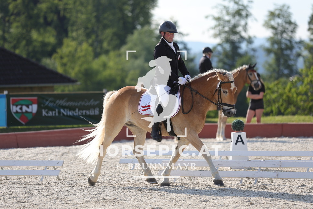 0P6A9051 | Willkommen bei Brunnmayr - Design & Fotografie – Ihrem Spezialisten für Reitturniere und Pferdeveranstaltungen in Oberösterreich, Salzburg und Bayern! Seit über 17 Jahren sind wir leidenschaftlich dabei.