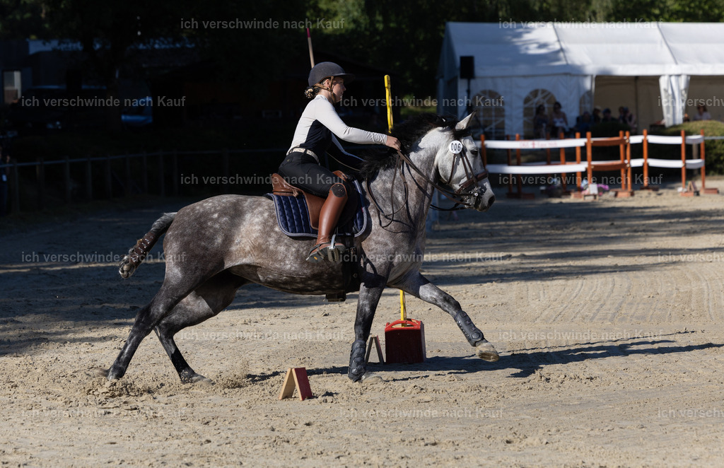 WL_Speed_6_KerstinBernhardt-4 | working equitationturnier fotograf videograf stoibphotography marixx film working equitation deutschland reitsport turnierfotografie eventfotografie equestrian events