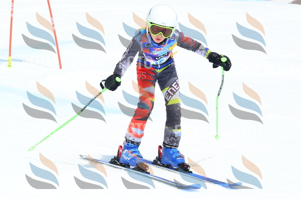 _ELE2690 | holidayphoto