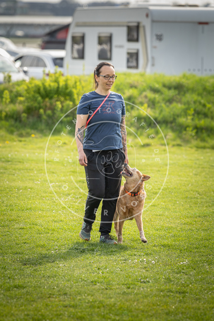 Pfotenfotografie_DV3A4981 | Hundefotografie, Tierfotograf, Pfotenfotografie, Fotoshooting Hund, Hunde Portrait, Hundesport, Hundeportraits, Heideshooting, Hunde, Sportfotograf, Hundefotograf, Turnierhundsport, THS,  - Realisiert mit Pictrs.com
