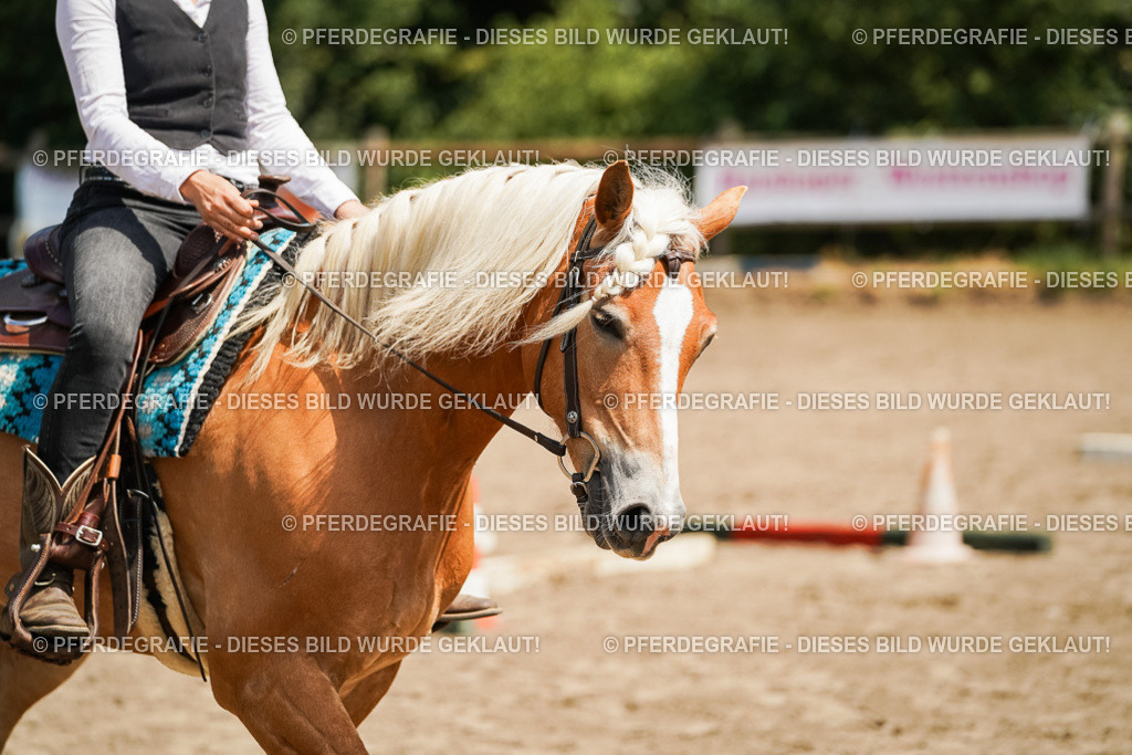 DSC07128 | Pferdegrafie