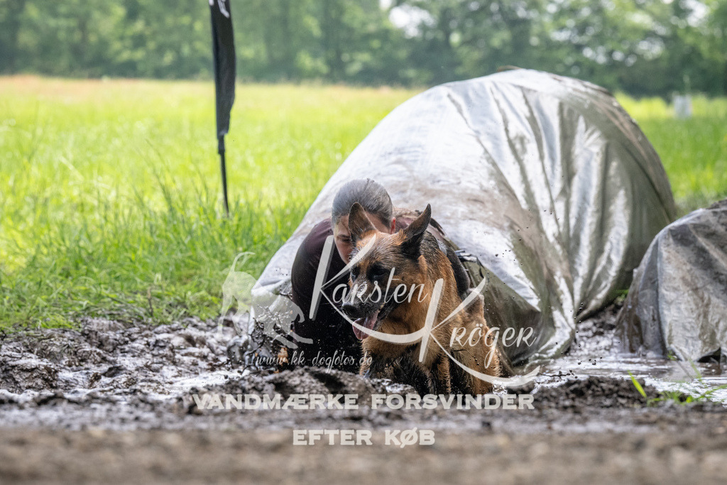 1141_ZZ93851 | kk-dogfotos