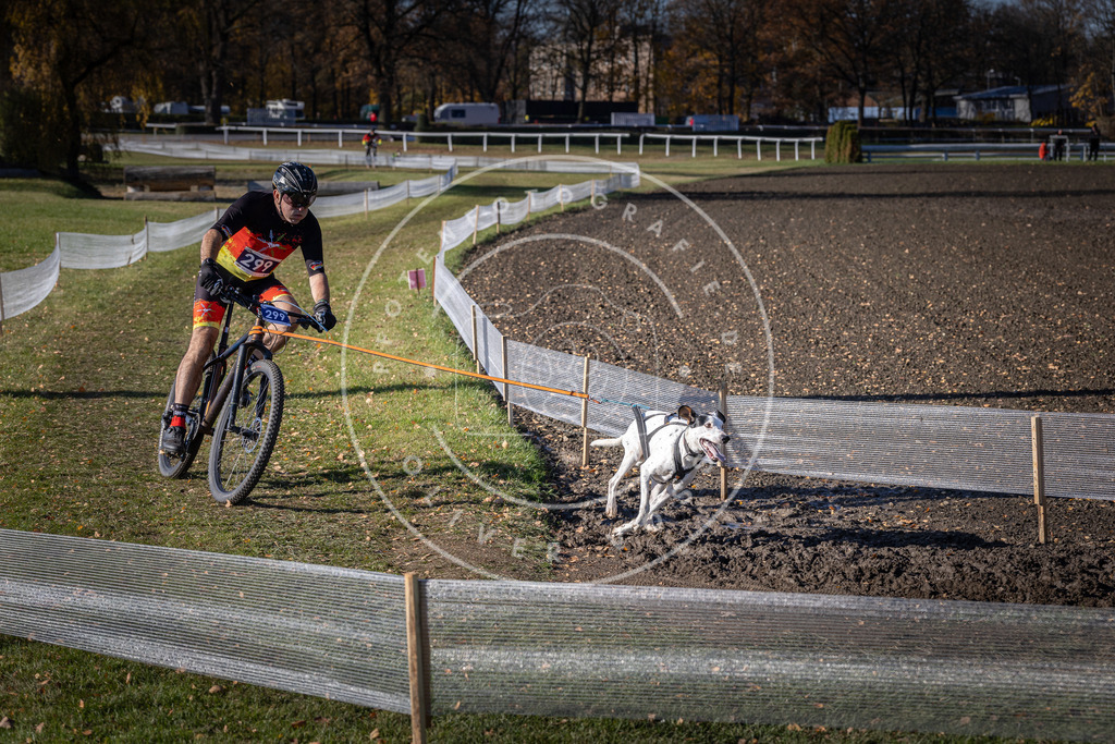 CaniXpix_DV3A6038 | Hundefotografie, Tierfotograf, Pfotenfotografie, Fotoshooting Hund, Hunde Portrait, Hundesport, Hundeportraits, Heideshooting, Hunde, Sportfotograf, Hundefotograf, Turnierhundsport, THS,  - Realisiert mit Pictrs.com
