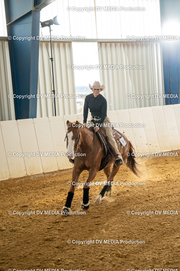 MIT01048 | dv-media-shop - Realisiert mit Pictrs.com