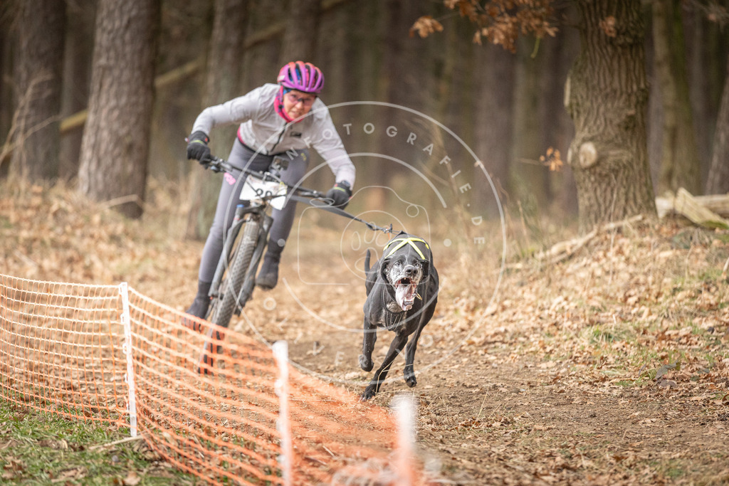 Pfotenfotografie_DV3A2545 | Hundefotografie, Tierfotograf, Pfotenfotografie, Fotoshooting Hund, Hunde Portrait, Hundesport, Hundeportraits, Heideshooting, Hunde, Sportfotograf, Hundefotograf, Turnierhundsport, THS,  - Realisiert mit Pictrs.com