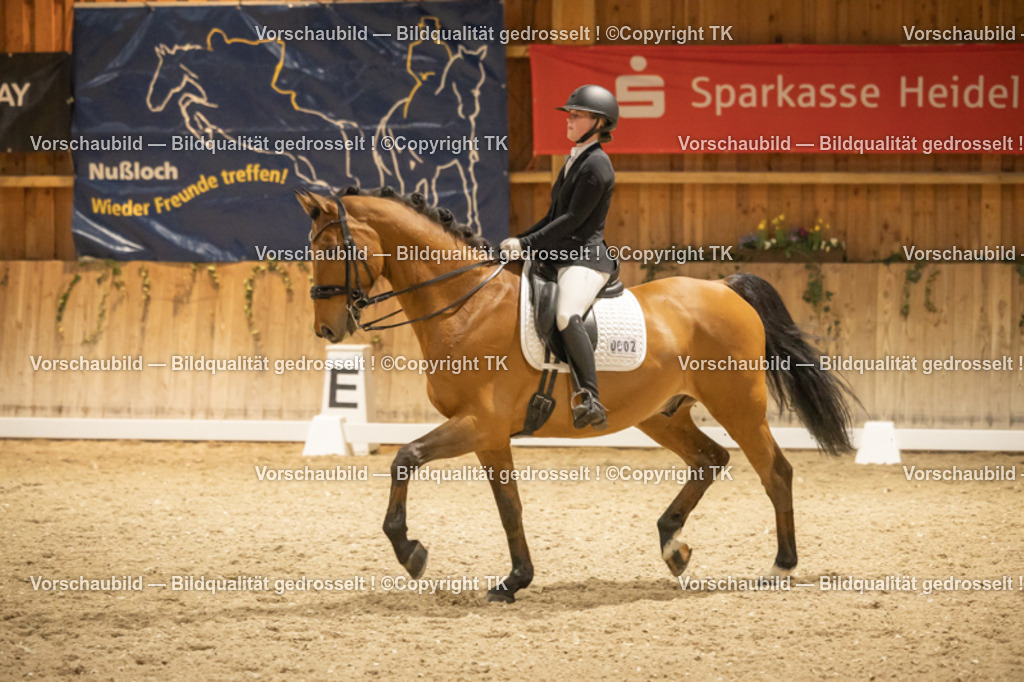 _D5A3956 | Emotionale Pferde- & People-Fotografie rund um Heidelberg, Leimen & Umgebung. Natürliche Fotos von Pferd, Mensch & Familie. Jetzt Termin sichern!