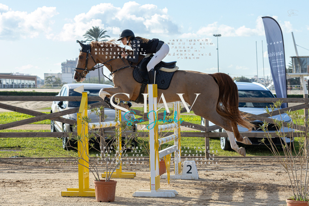 IMG_1697 | s-jay-photography - Realisiert mit Pictrs.com