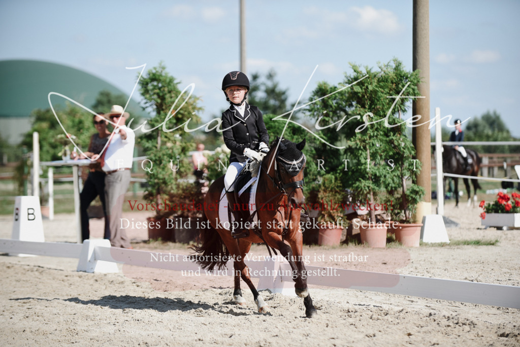 DSC_0159 | Pferde- und Turnierfotografie in Westsachsen. Pferdeportraits, Auftragszeichnungen und intuitive Kunst.
