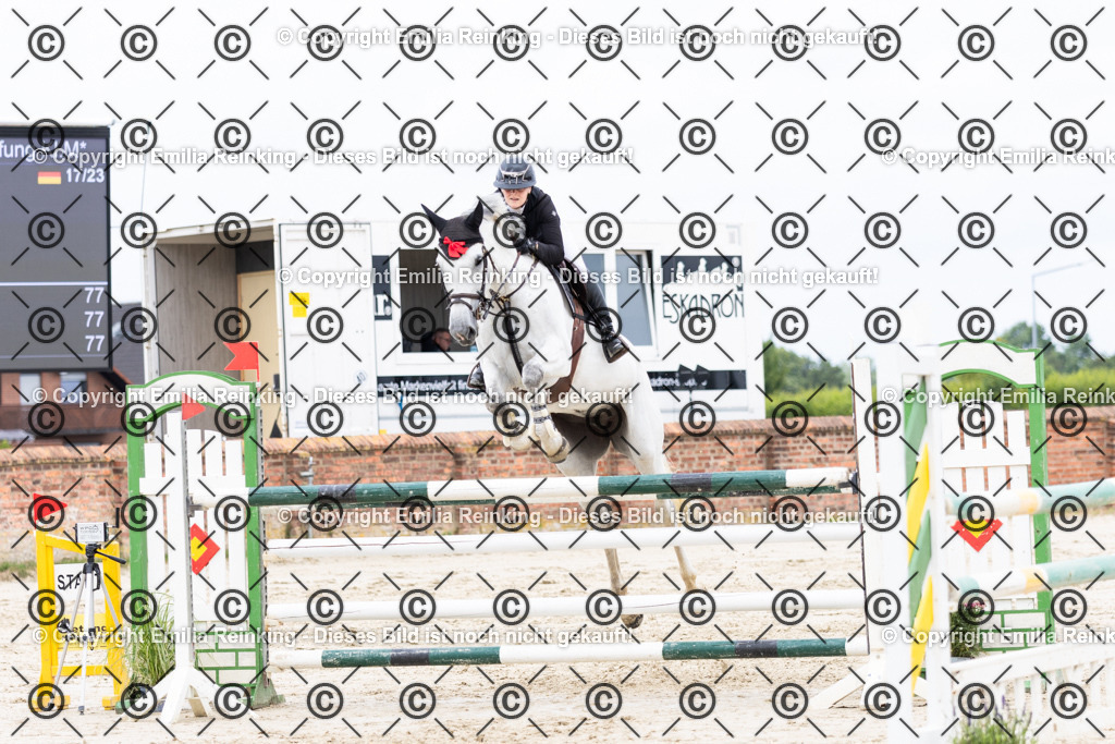 CL5A5636 | Emilia Reinking Fotografie - Realisiert mit Pictrs.com