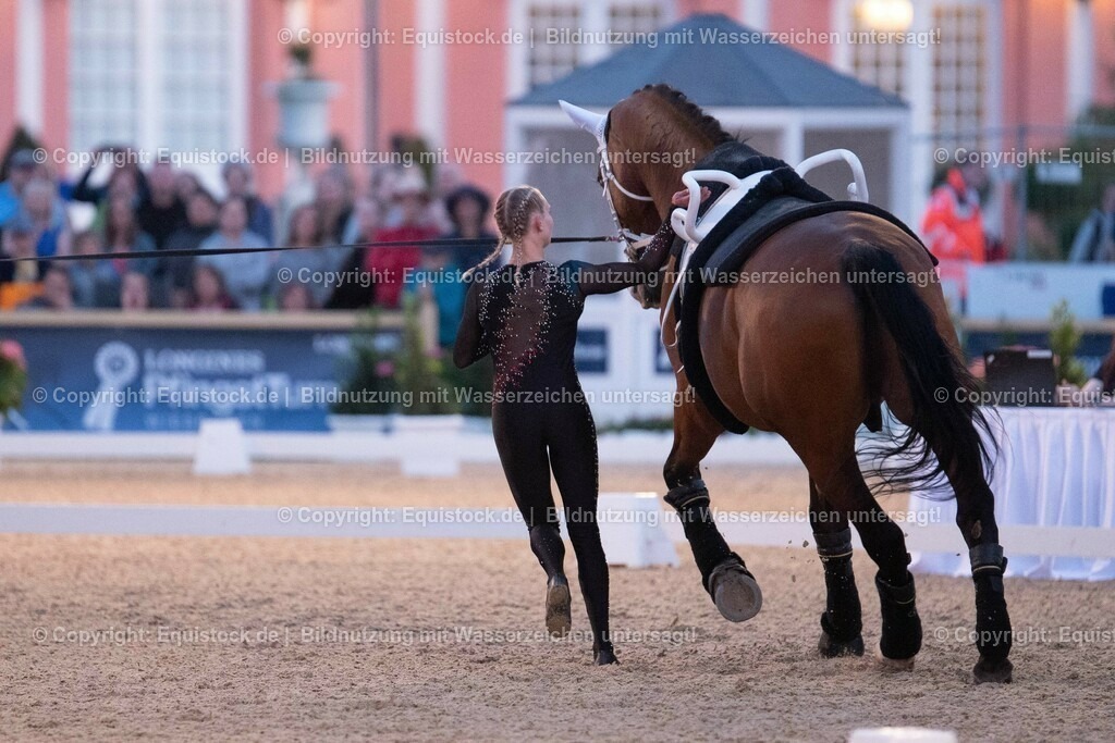 20230527_Voltigieren_NASPA_Flutlicht_0423 | equistock