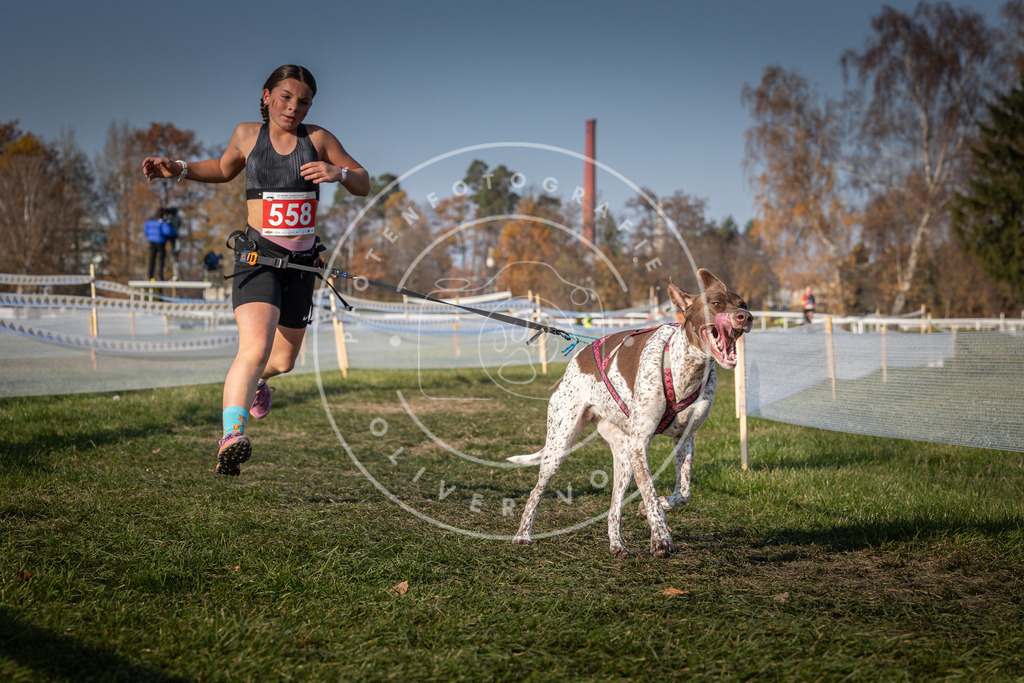 CaniXpix_0L8A9213 | Hundefotografie, Tierfotograf, Pfotenfotografie, Fotoshooting Hund, Hunde Portrait, Hundesport, Hundeportraits, Heideshooting, Hunde, Sportfotograf, Hundefotograf, Turnierhundsport, THS,  - Realisiert mit Pictrs.com