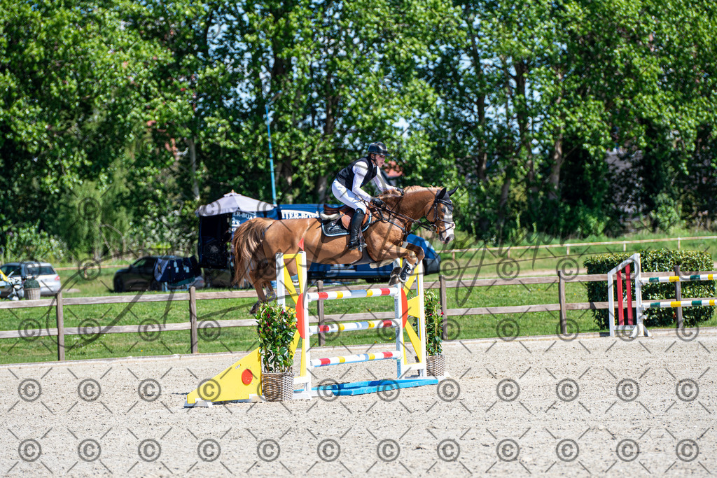 KPT_1187 | andre_photographic