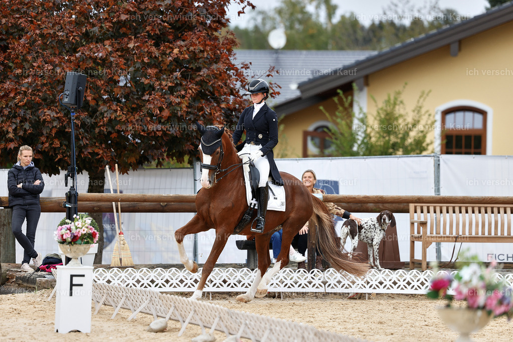 11-201-Dressur S___-StoibPH-944 | working equitationturnier fotograf videograf stoibphotography marixx film working equitation deutschland reitsport turnierfotografie eventfotografie equestrian events