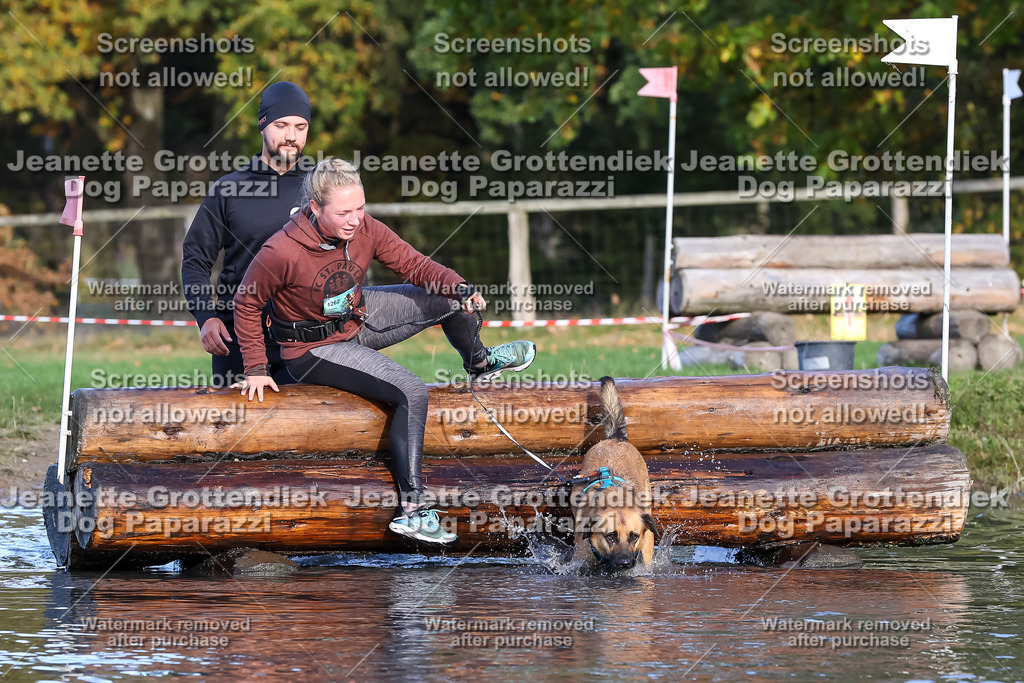 Dog Paparazzi - Strongdog 10-25-8556 | Dog Paparazzi Jeanette Grottendiek Fotografie & Videografie - Realisiert mit Pictrs.com