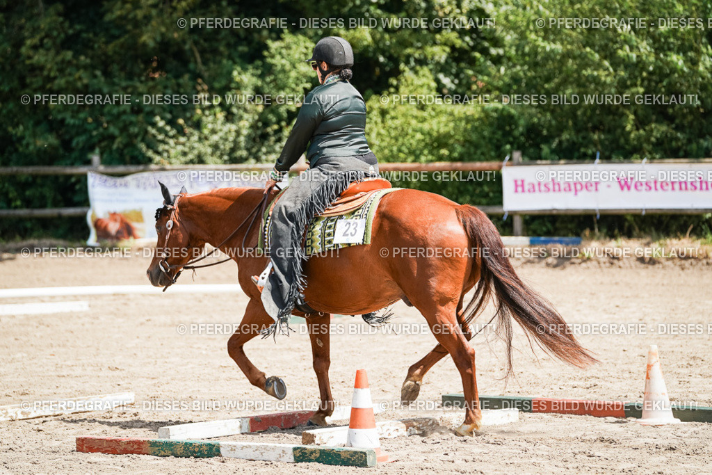 DSC06494 | Pferdegrafie